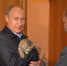 Невзоров считает, что Путин похож на большого полосатого кота - Город812