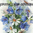 dear-elen-sergeevna - БИЭПП
