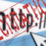 Стартапам дадут по бесплатному сайту - Фонтанка