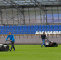 По требованию FIFA сейчас на газон никому нельзя заходить – кроме тех, кто за ним ухаживает. Фото Василий Кузьмичёнок, "Metro" - Metro Петербург