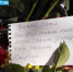 Люди со всего города несут цветы и записки к месту трагедии. Фото: Inside Donetsk - Комсомольская правда