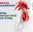 Грипп птиц - Стоматологическая поликлиника №11