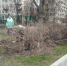 Территорию фрунзенских школ активно очищают от мусора - Фрунзенский район