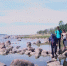 На карте Ленинградской области появилась новая туристическая тропа - ГТРК Санкт-Петербург