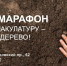 Попал в трудная ситуацию - Телефон доверия, Межрайонный наркологический диспансер №1 - Городская поликлиника №8