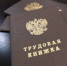 В результате принятых прокуратурой мер погашена задолженность по оплате труда на сумму более 6,5 млн рублей - Прокуратура Санкт-Петербурга