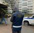 Еще 3 незаконных точки по торговле елками ликвидировали во Фрунзенском районе - Фрунзенский район