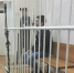 «Чеченского волка» за стрельбу из окна «Приоры» на Московском отпустили с условной судимостью - Фонтанка