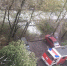 Во дворе на Будапештской улице упавшее дерево накрыло пять машин - ГАZЕТА.СПб