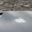 Новые iPhone с 5G будут дороже обычных. Фото: pixabay.com - Moika78.Ru