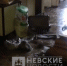 Появилось видео выгоревшей квартиры на Будапештской в Петербурге - ИА Невские Новости