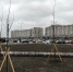 В комитете по благоустройству попытались оправдаться за падающие  прутики - Moika78.Ru