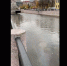 Снимок экрана 2020-11-05 в 14.42.12.png - Мой район