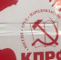 В КПРФ прокомментировали празднование годовщины революции в условиях КОВИД - ИА Невские Новости