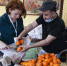 Как в Петербурге пройдет «#ЩедрыйВторник» - Spbdnevnik.ru