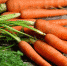 Офтальмолог Марина Дорохова перечислила продукты для поддержания здоровья глаз. Фото: pixabay.com. - Moika78.Ru