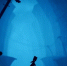 Релизный трейлер Little Nightmares 2 - Городовой.спб.Ру