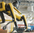Boston Dynamics показала нового робота - Городовой.спб.Ру