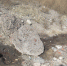 Подробности о миграции нефтепродуктов в грунтовых водах / Новости СПбГАСУ - СПБГАСУ