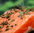 БАД без вкуса и запаха. Чем полезен рыбий жир | ФОТО pixabay - С.-Петербургские ведомости