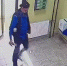 Появилось еще одно видео с «дрессировщиком», который одной собакой избил другую - ИА Невские Новости