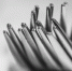 fork-839244_1280 - Вестник СЗФО