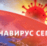 Появились новые данные. Фото "Metro" - Metro Петербург