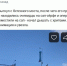 Он неудачно приземлился в воду, вынырнуть уже не смог. Фото: скрин группы "ДТП и ЧП. Санкт-Петербург" "ВКонтакте".  - ГАZЕТА.СПб