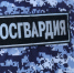 В Приозерске сотрудники Росгвардии оказали помощь раненому мужчине и обнаружили иномарку, на которой скрылся нападавший - Росгвардия