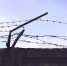 СК завели дело на петербуржца о попытке убийства - Санкт-Петербург.ру