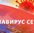 Появились новые данные. Фото Metro. - Metro Петербург