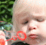 child-1 445 876_1920.jpg - Вестник СЗФО