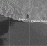Ученые изучили радиолокационный снимок акватории со спутника Sentinel-1 Фото: iki.cosmos.ru - Moika78.Ru