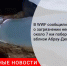 В WWF сообщили о загрязнении нефтью около 7 км побережья вблизи Абрау-Дюрсо - Городовой.спб.Ру
