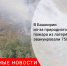 В Башкирии из-за природного пожара из лагеря эвакуировали 750 детей - Городовой.спб.Ру
