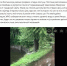Результаты затопления видно и на улице. Скриншот видео группы "ДТП и ЧП | Санкт-Петербург | Питер Онлайн | СПб" "ВКонтакте" - Moika78.Ru