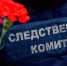 Подозреваемый во всем признался: подробности жестокого убийства школьницы в Тюмени - ИА Невские Новости