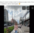 «Она стала человеком»: собака ходила по Мурино на задних лапах - ИА Невские Новости