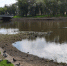 Причину падения уровня воды в Ижоре выяснили и устранили - ИА Невские Новости