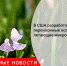 В США разработали переносимые воздухом летающие микрочипы - Городовой.спб.Ру