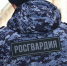 Сотрудниками Росгвардии в Центральном районе задержан гражданин, который находился в федеральном розыске - Вневедомственная охрана