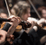 Петербуржцы смогут посетить концерт финалистов конкурса скрипачей VIOLINO - ТК Санкт-Петербург