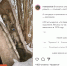 Бесхозные горельефы швеи, фотографа и сапожника обнаружили активисты в Выборге - Moika78.Ru