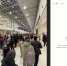 Очередь в IKEA в ТЦ МЕГА Парнас собралась большая. Фото: скриншот "ДТП и ЧП | Санкт-Петербург"/ ВКонтакте - Moika78.Ru