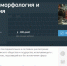СПбГУ запустил курс о «кризисе» украинского государства на платформе «Открытое образование» - Мой район