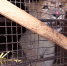 Скриншот видео <a href="https://youtu.be/3Q5LP8FmsAc" class="_ io-leave-page" target="_blank">«МВД Медиа»</a> - Фонтанка