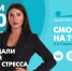 Новости Петербурга к 13:00 - ТК Санкт-Петербург