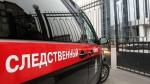 «А я милого узнаю по походке»: СК попросил установить в Петербурге «умные» камеры