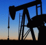 Газ, нефть, уголь: Нидерланды откажутся от ресурсов России к концу 2022 года - Peterburg2.Ru
