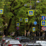 В 12 районах Петербурга сделают 30 пешеходных переходов - Мой район